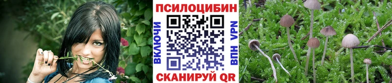 Галлюциногенные грибы ЛСД  Среднеуральск 